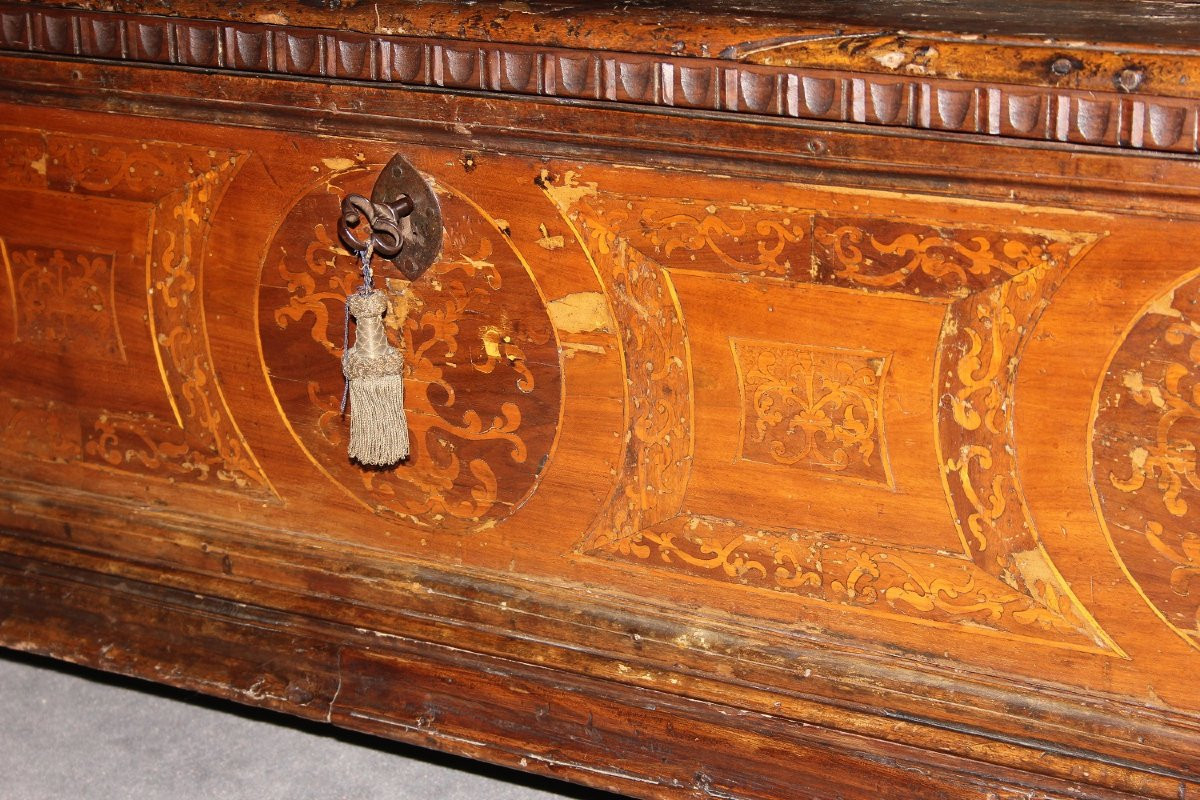 Grande cassapanca italiana veneta del 1600 in legno di noce-photo-3