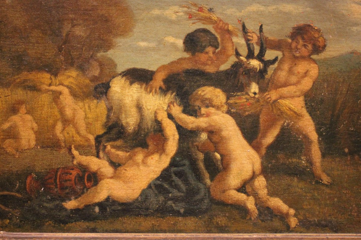 Coppia di oli su tavoletta raffiguranti putti con animali – Inizio 1700-photo-4