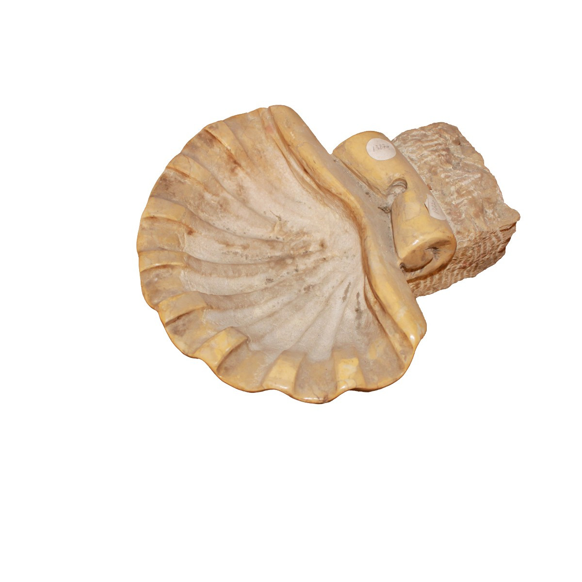 Piccola Acquasantiera del 1800 a conchiglia