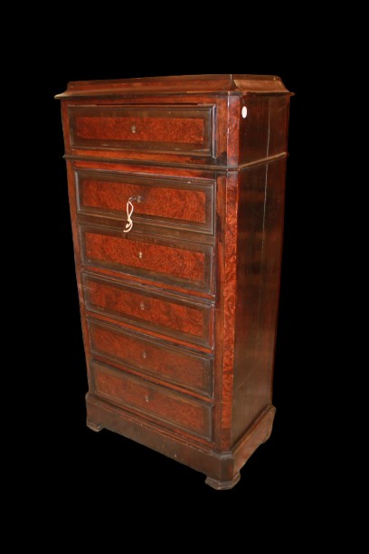 Secretaire Francese stile Luigi Filippo in Legno di Olmo e Ebano XIX secolo