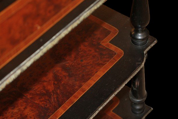Fioriera Francese Stile Napoleone III del 1800 in vari Legni Policromi-photo-3
