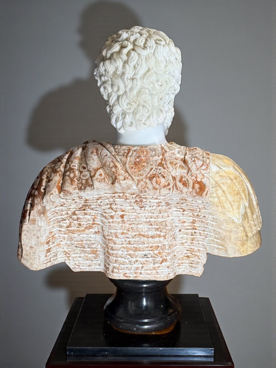 Busto raffigurante Imperatore Adriano, marmi rari -photo-3
