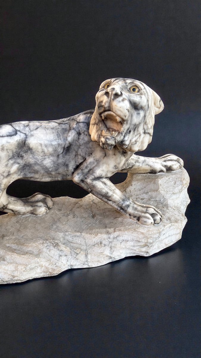 Tigre Ruggente scolpita a mano in Marmo Arabescato -photo-3