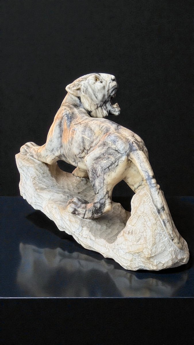 Tigre Ruggente scolpita a mano in Marmo Arabescato -photo-4