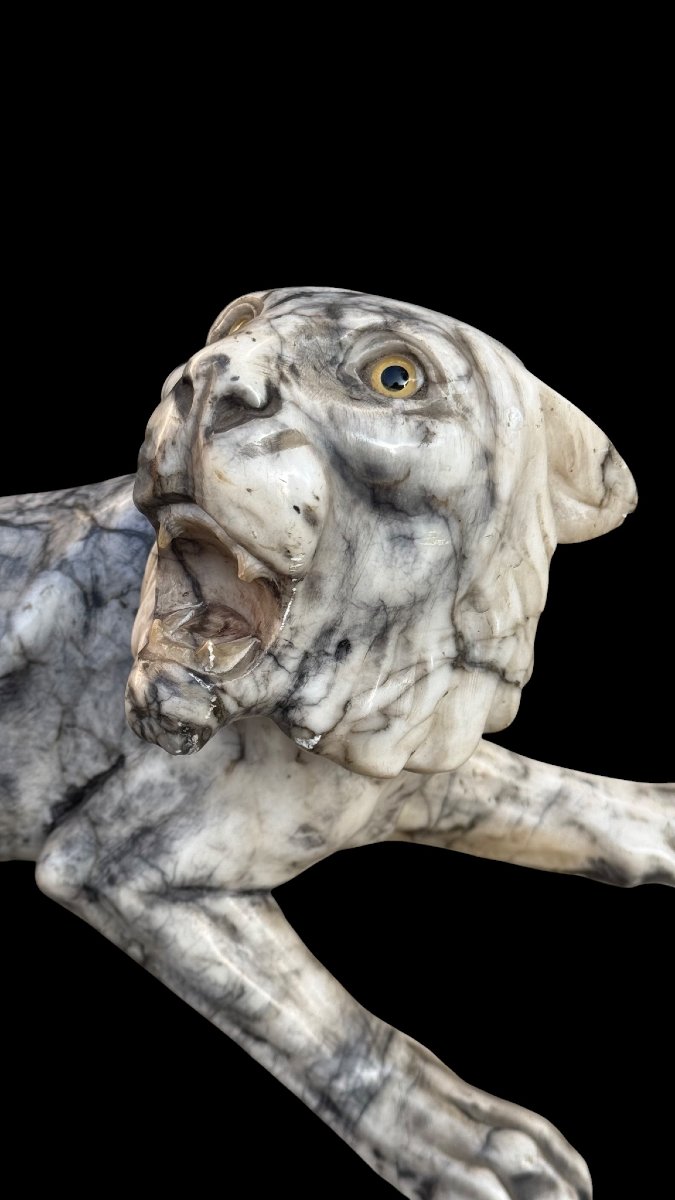 Tigre Ruggente scolpita a mano in Marmo Arabescato -photo-4