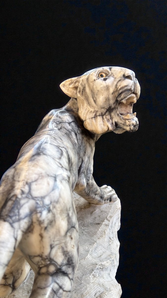 Tigre Ruggente scolpita a mano in Marmo Arabescato -photo-5