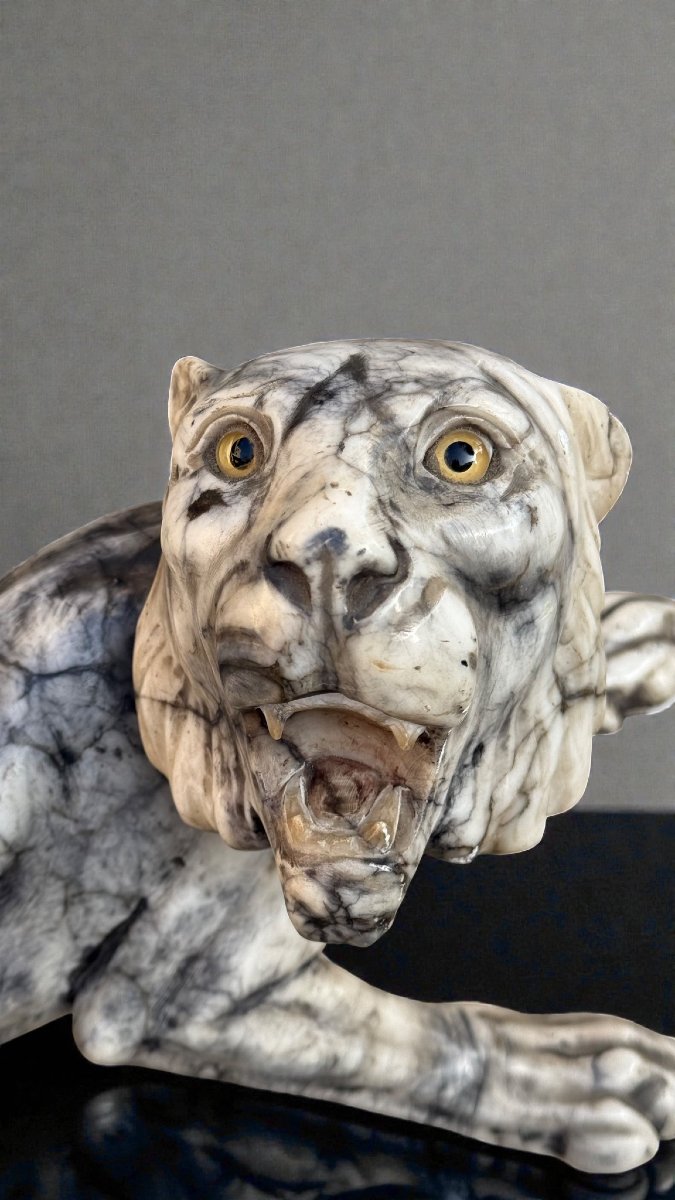 Tigre Ruggente scolpita a mano in Marmo Arabescato -photo-6