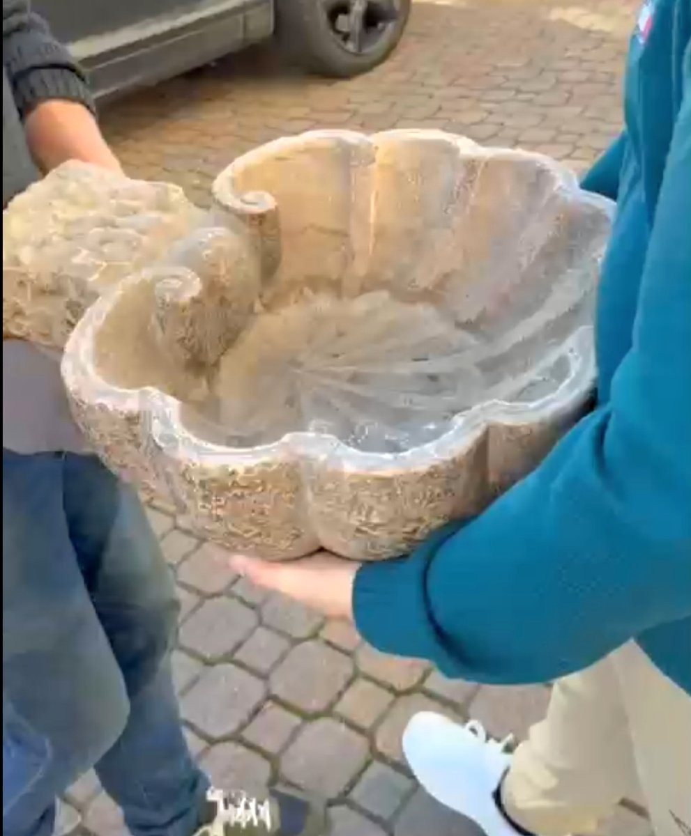 Antico Vaso a Conchiglia/Acquasantiera XVI° secolo-photo-4