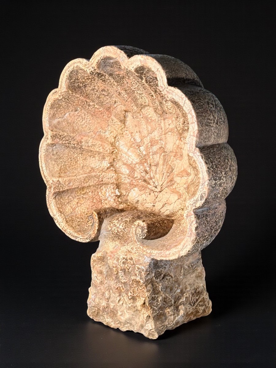 Antico Vaso a Conchiglia/Acquasantiera XVI° secolo-photo-3