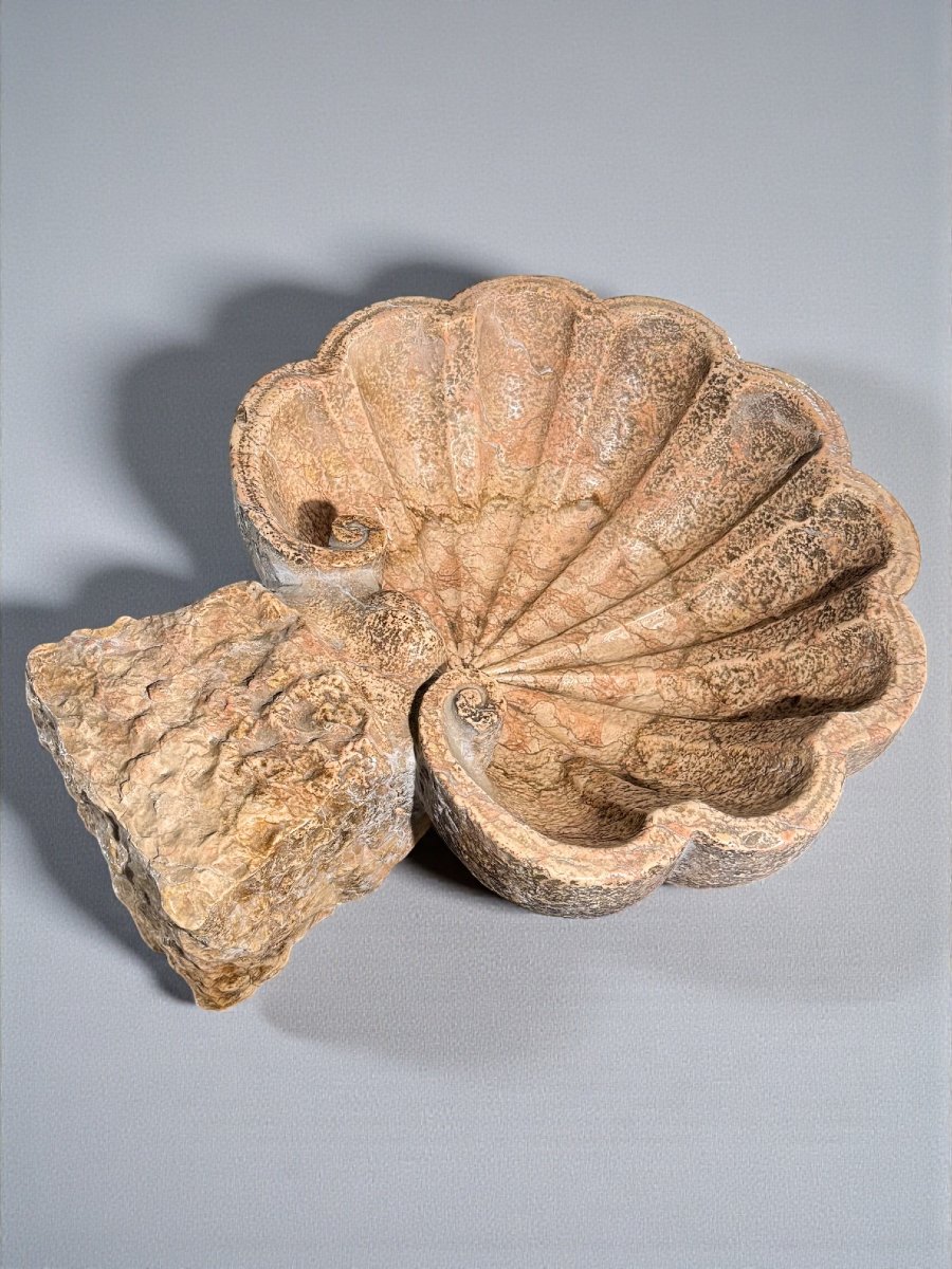 Antico Vaso a Conchiglia/Acquasantiera XVI° secolo-photo-4