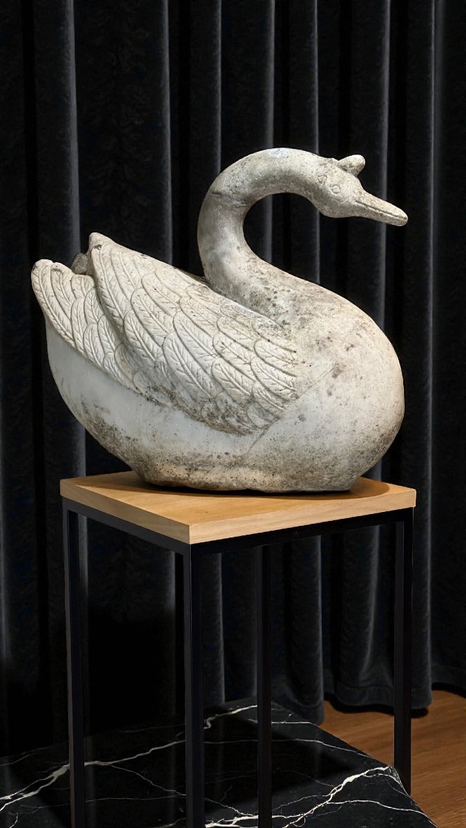 Cigno in Marmo bianco di Carrara -photo-3