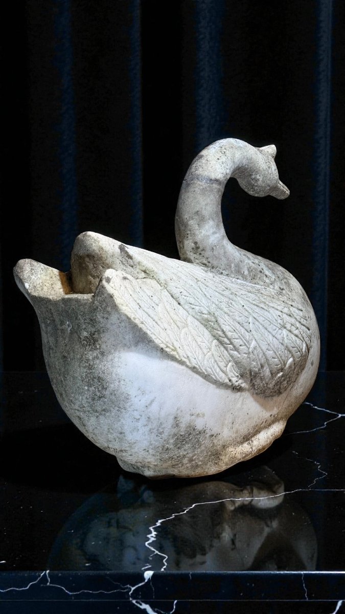 Cigno in Marmo bianco di Carrara -photo-4