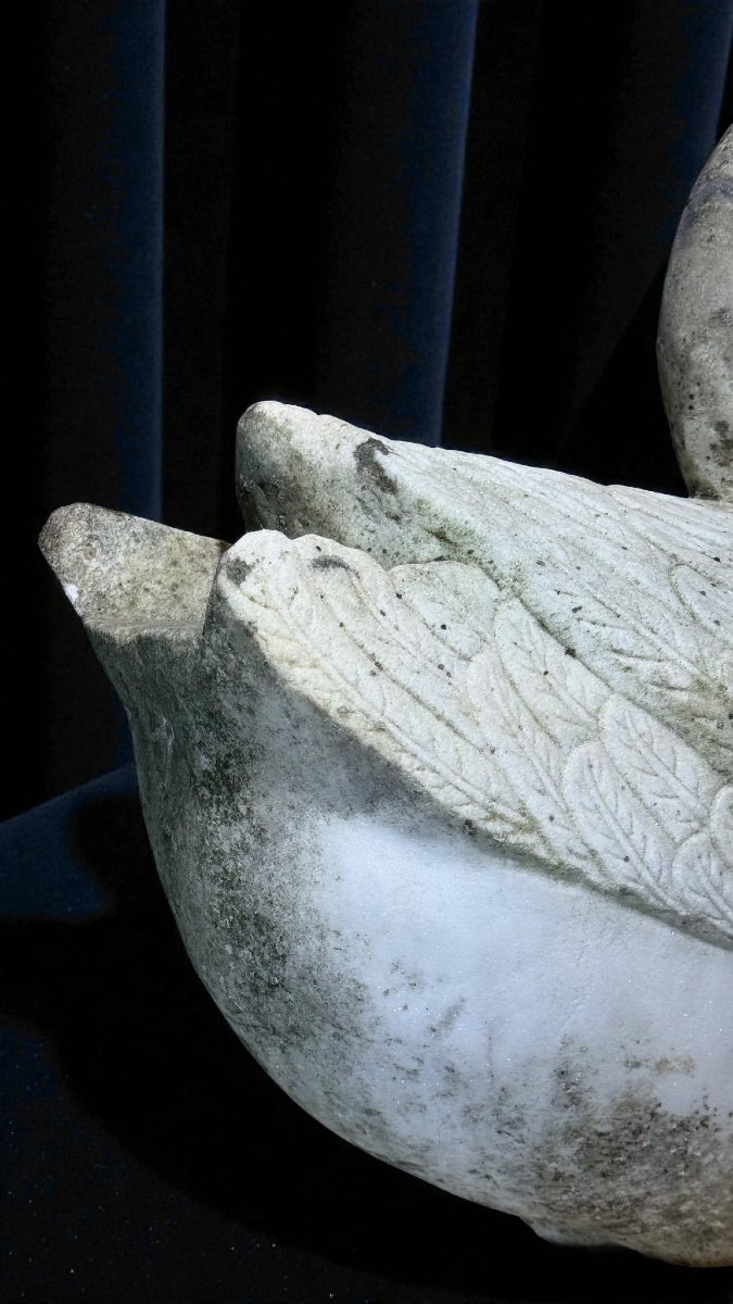 Cigno in Marmo bianco di Carrara -photo-1