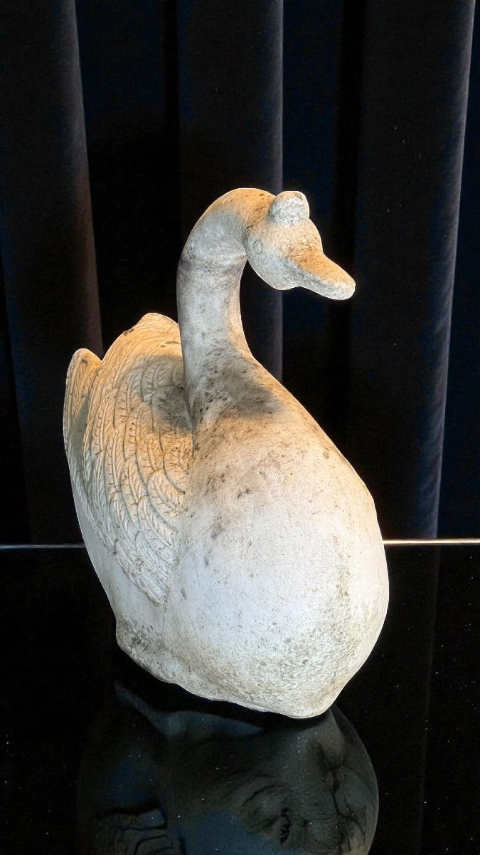 Cigno in Marmo bianco di Carrara -photo-3