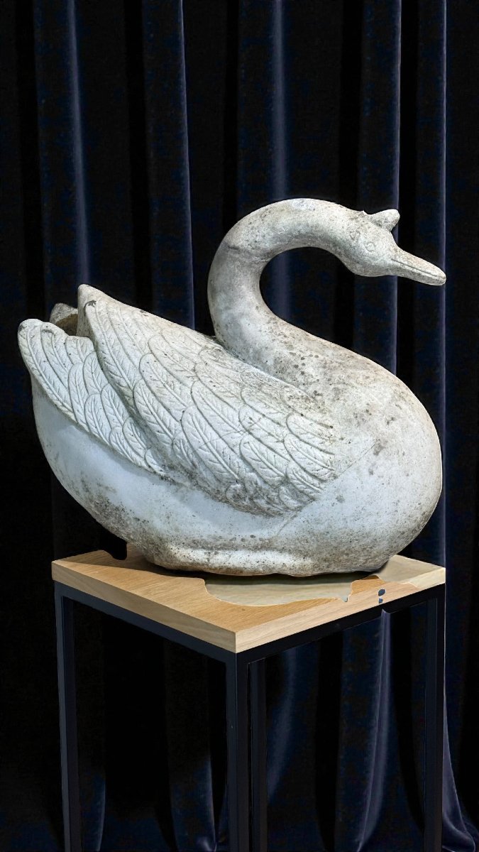 Cigno in Marmo bianco di Carrara -photo-4