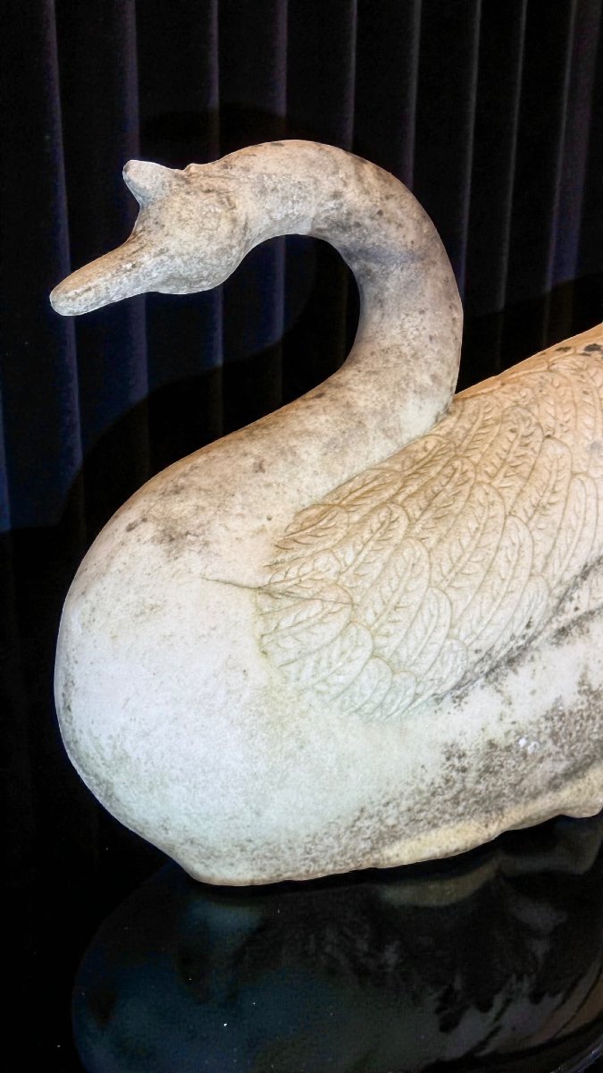 Cigno in Marmo bianco di Carrara -photo-6