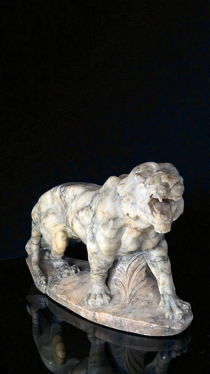 Tigre Ruggente scolpita interamente a mano nel Marmo Arabescato, Currini-photo-2