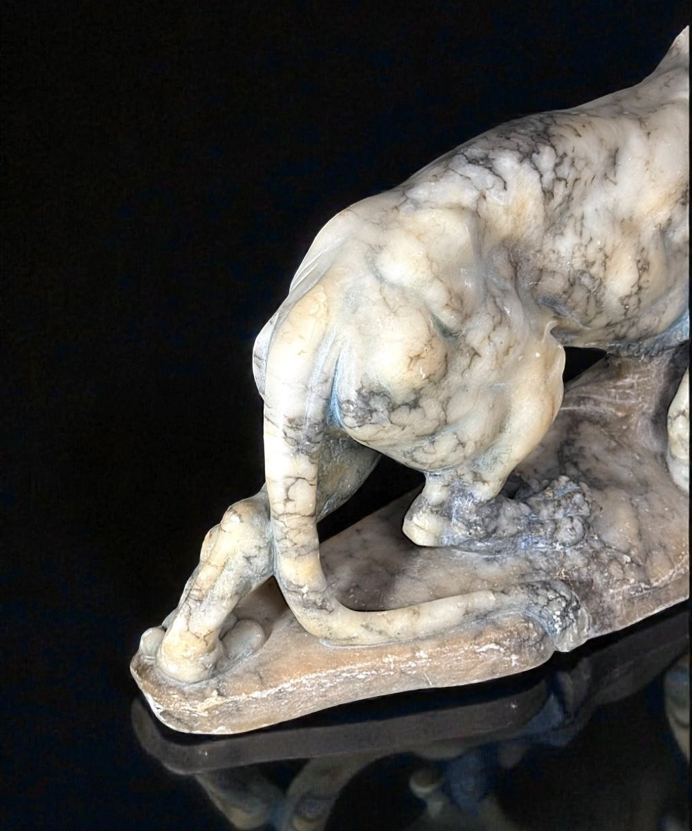 Tigre Ruggente scolpita interamente a mano nel Marmo Arabescato, Currini-photo-2