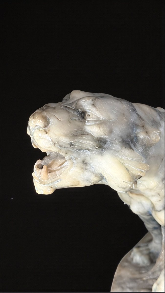 Tigre Ruggente scolpita interamente a mano nel Marmo Arabescato, Currini-photo-3