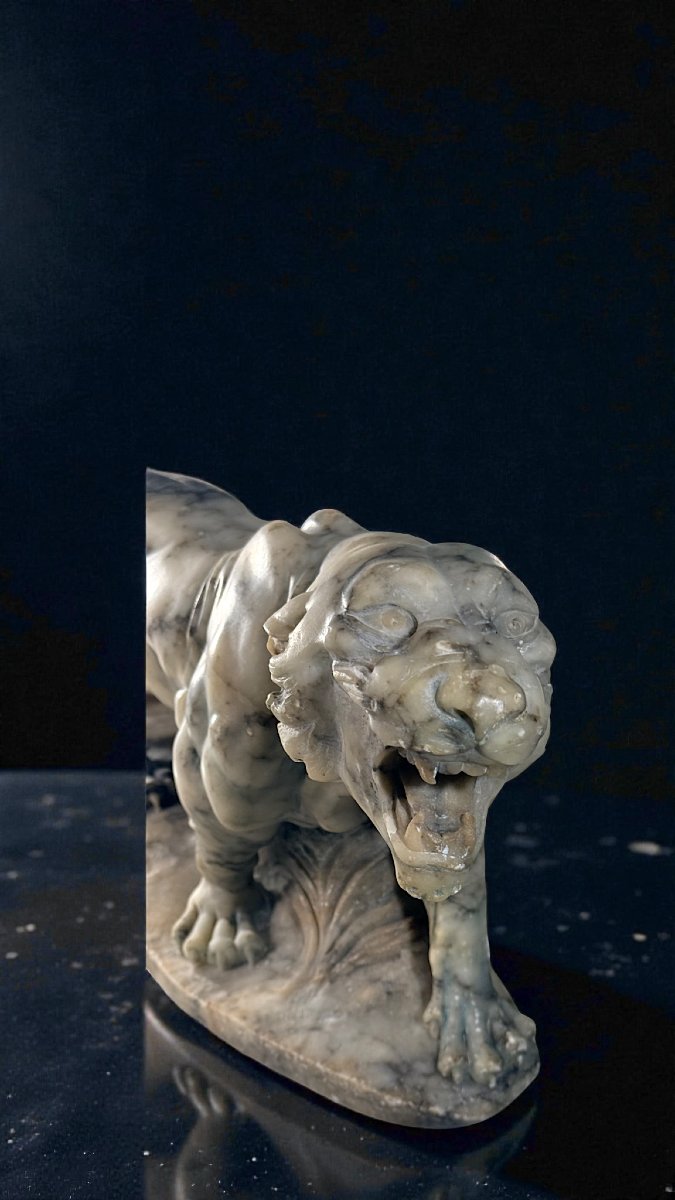 Tigre Ruggente scolpita interamente a mano nel Marmo Arabescato, Currini-photo-5