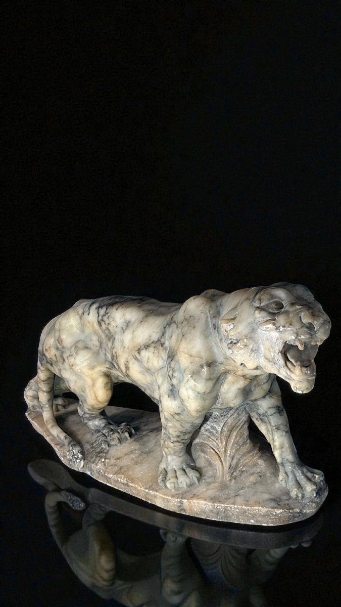 Tigre Ruggente scolpita interamente a mano nel Marmo Arabescato, Currini-photo-6