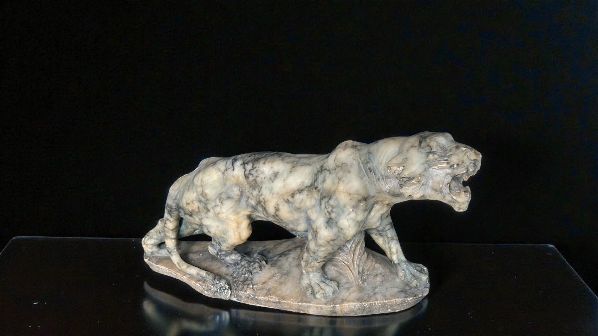 Tigre Ruggente scolpita interamente a mano nel Marmo Arabescato, Currini-photo-8