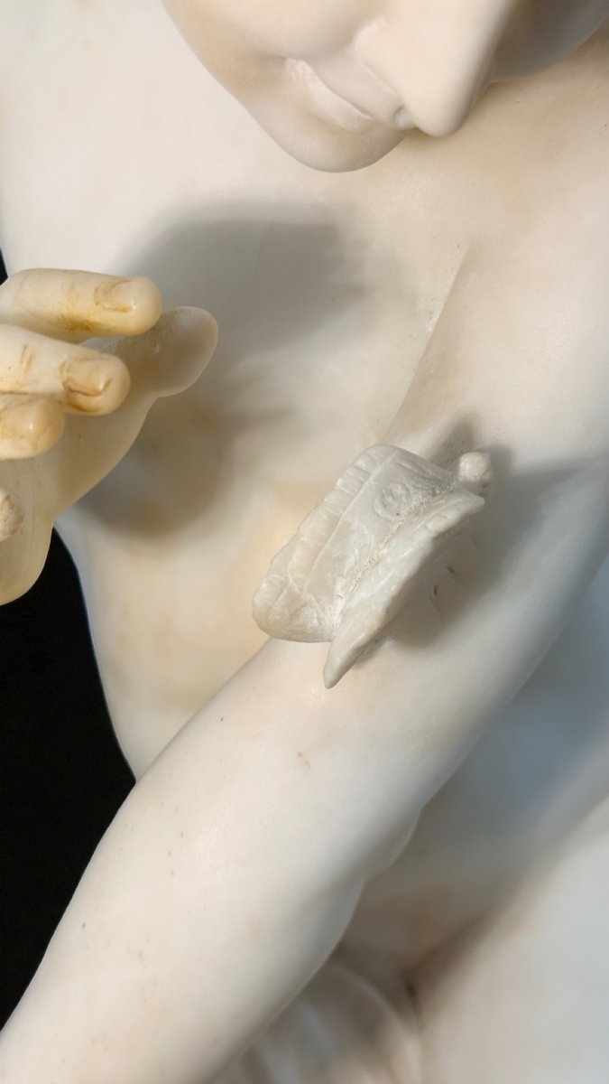 Statua giovane putto che gioca con una Farfalla in Marmo -photo-8