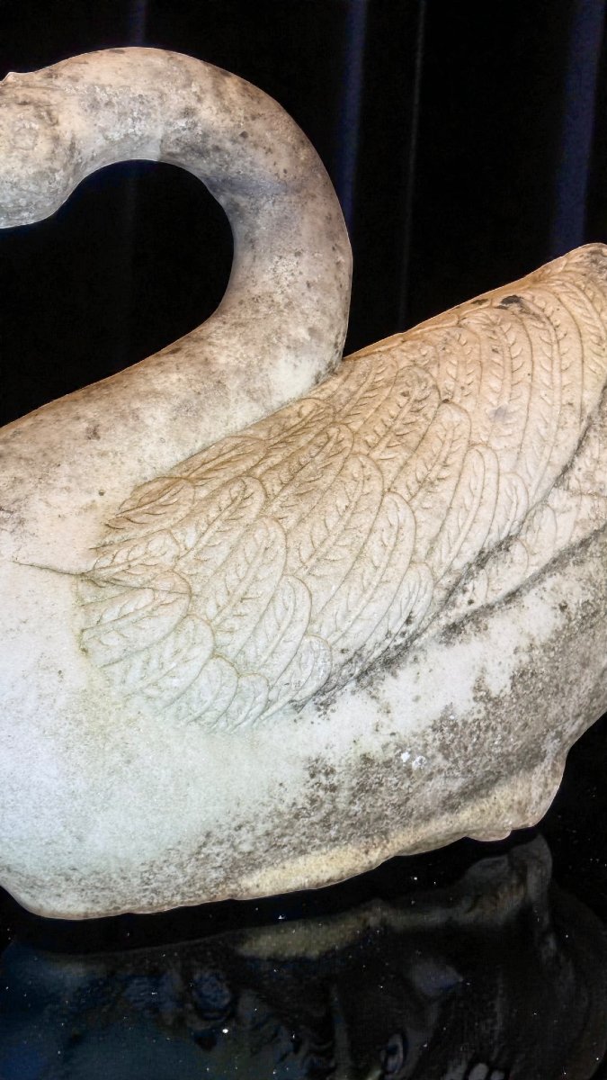 Cigno in Marmo Bianco Statuario di Carrara -photo-4