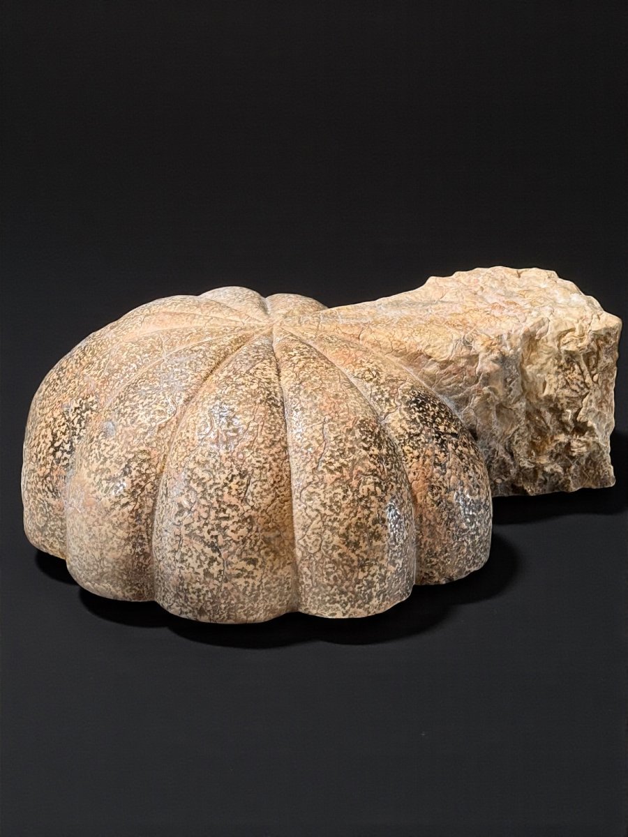 Antico vaso/acquasantiera a conchiglia XVII° -photo-4