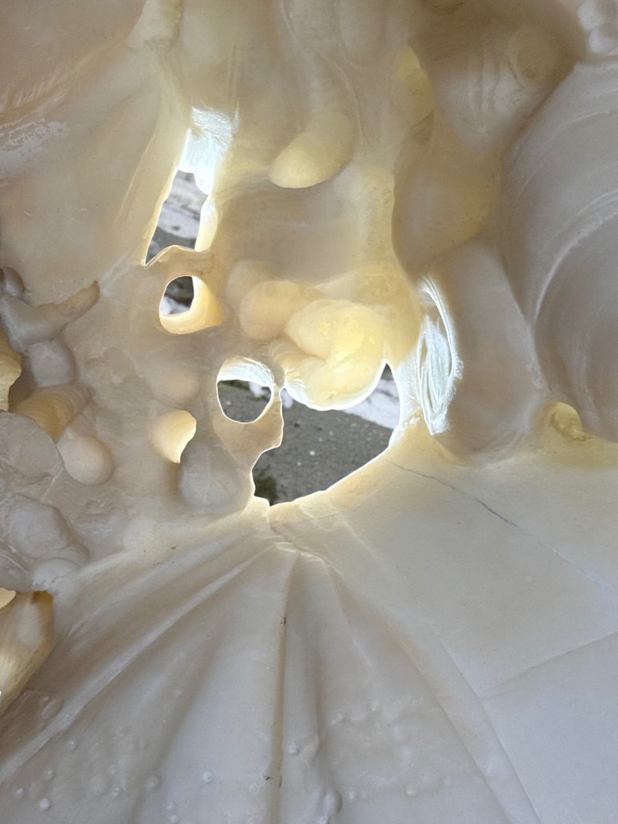 Busto giovane fanciulla sorridente con Cappello e dedica d'amore sul retro, Marmo -photo-8