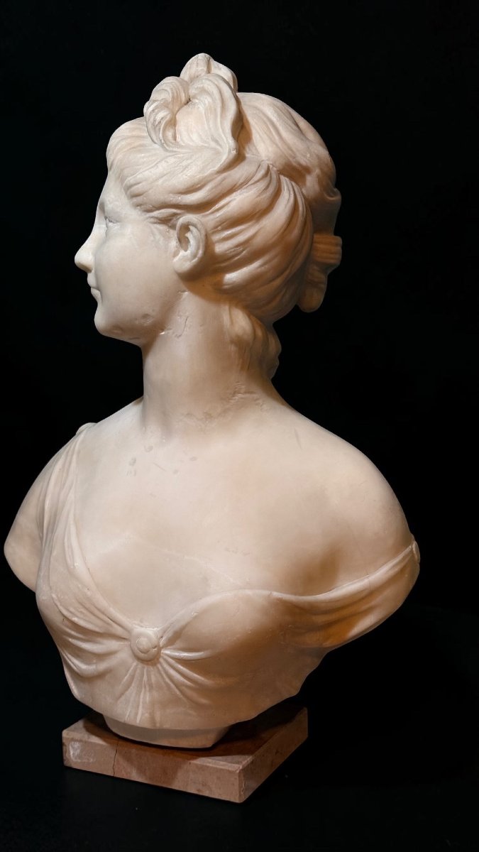 Busto raffigurante dea Artemide Jean-Antoine Houdon -photo-3