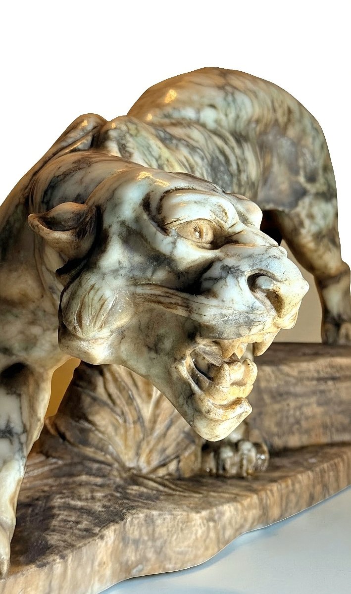 Tigre Ruggente in Marmo Giallo Arabescato -photo-2