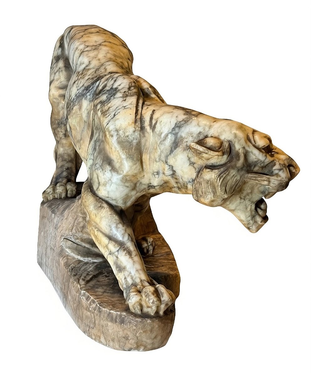 Tigre Ruggente in Marmo Giallo Arabescato -photo-3