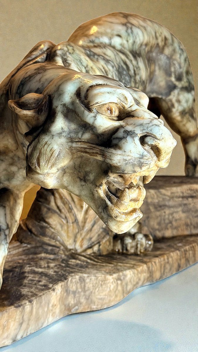 Tigre Ruggente in Marmo Giallo Arabescato -photo-8