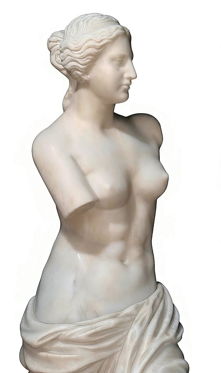 Statua raffigurante Venere di Milo in Marmo Bianco Statuario di Carrara -photo-3