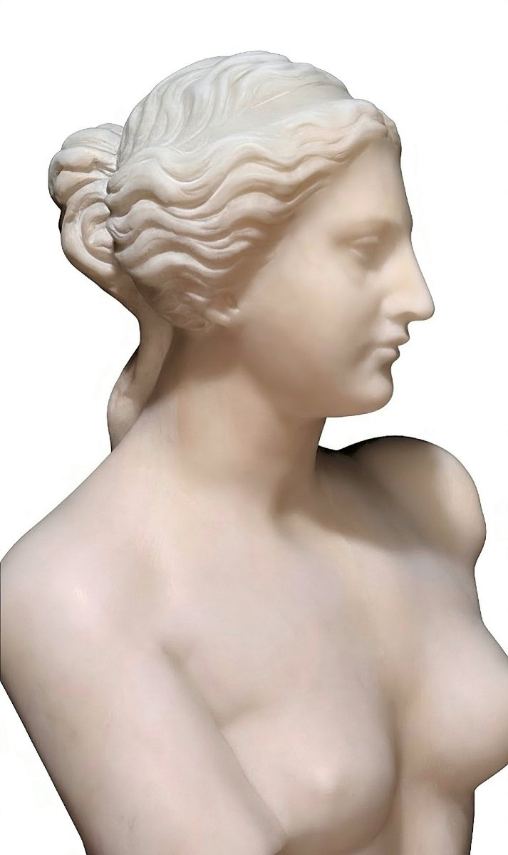 Statua raffigurante Venere di Milo in Marmo Bianco Statuario di Carrara -photo-4