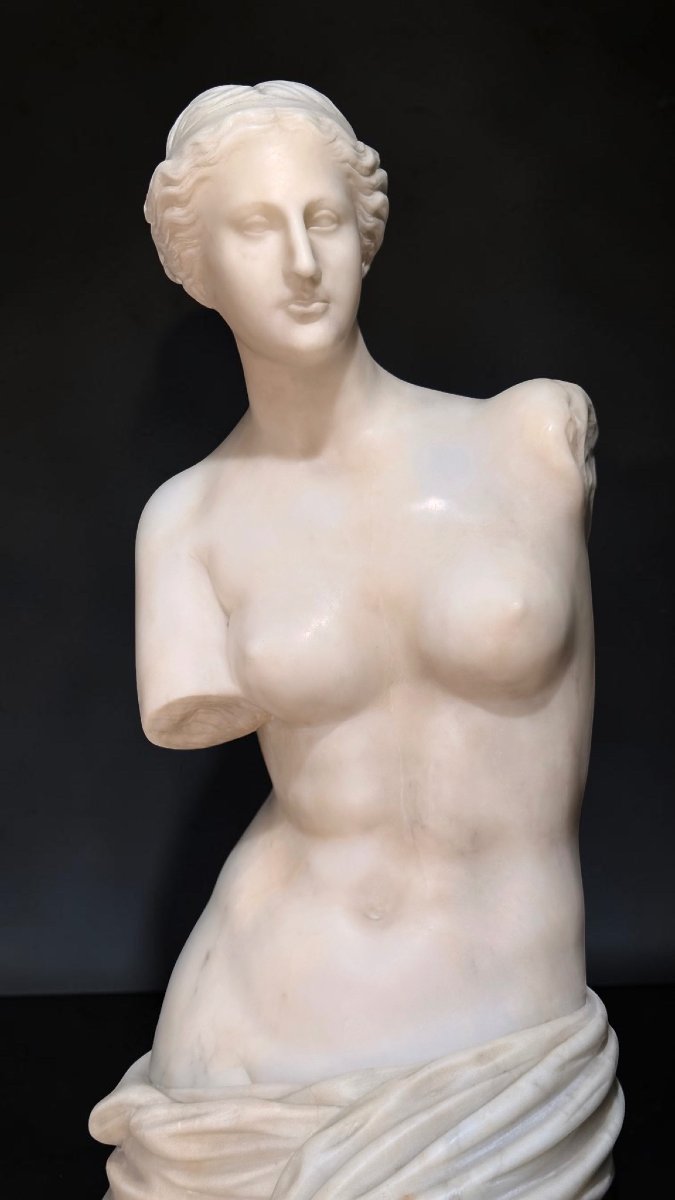 Statua raffigurante Venere di Milo in Marmo Bianco Statuario di Carrara -photo-1