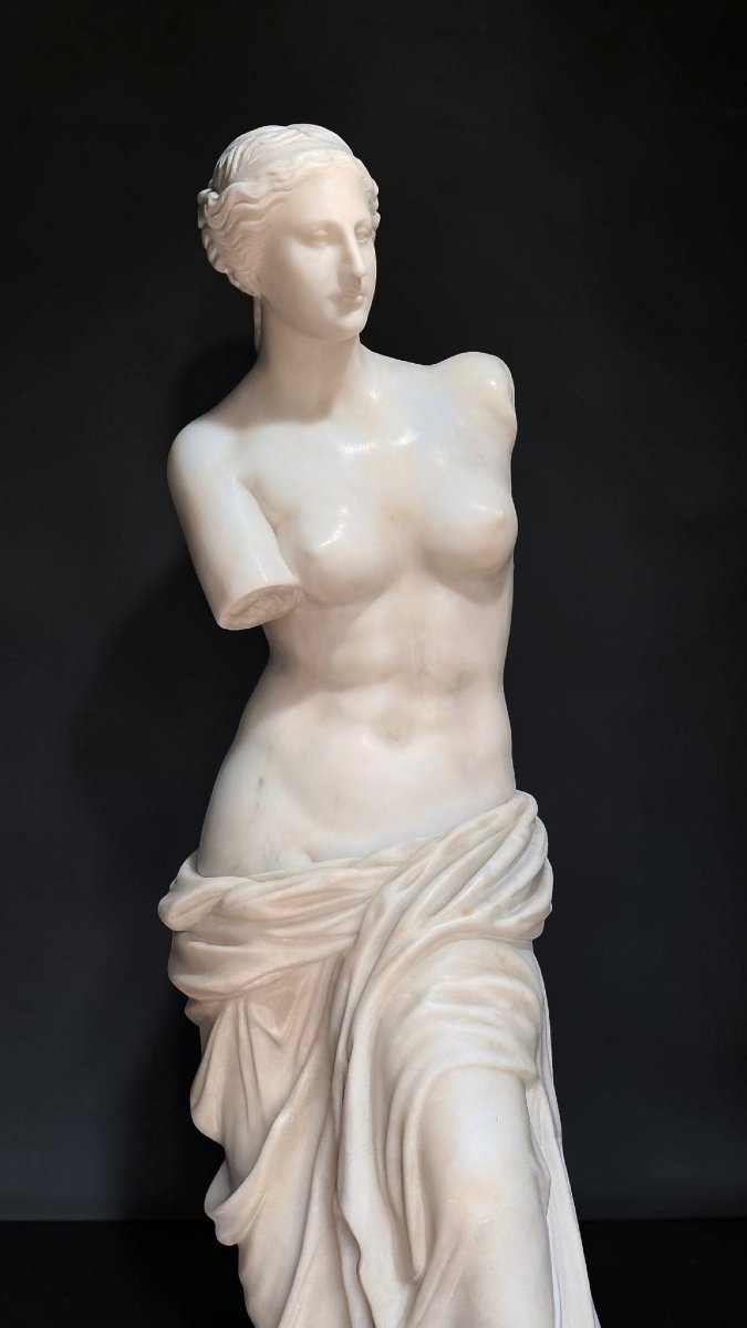 Statua raffigurante Venere di Milo in Marmo Bianco Statuario di Carrara -photo-3
