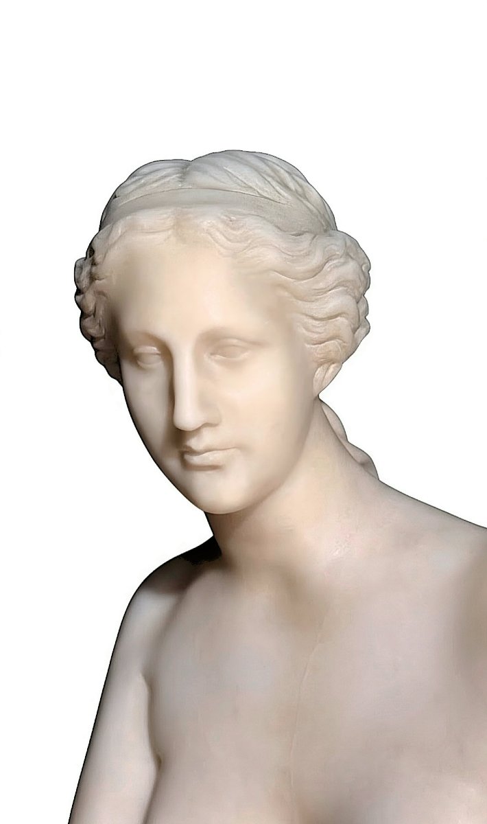 Statua raffigurante Venere di Milo in Marmo Bianco Statuario di Carrara -photo-4