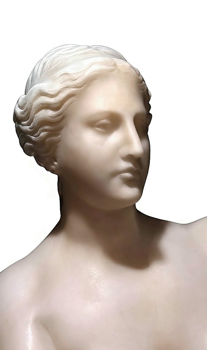 Statua raffigurante Venere di Milo in Marmo Bianco Statuario di Carrara -photo-5