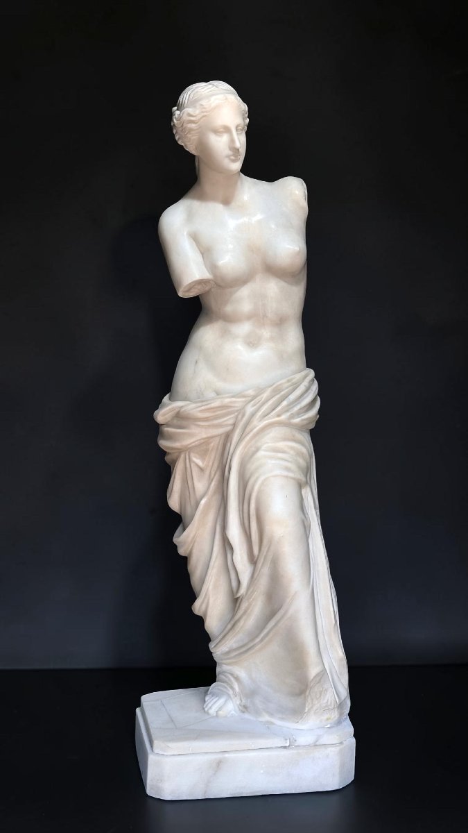 Statua raffigurante Venere di Milo in Marmo Bianco Statuario di Carrara -photo-6
