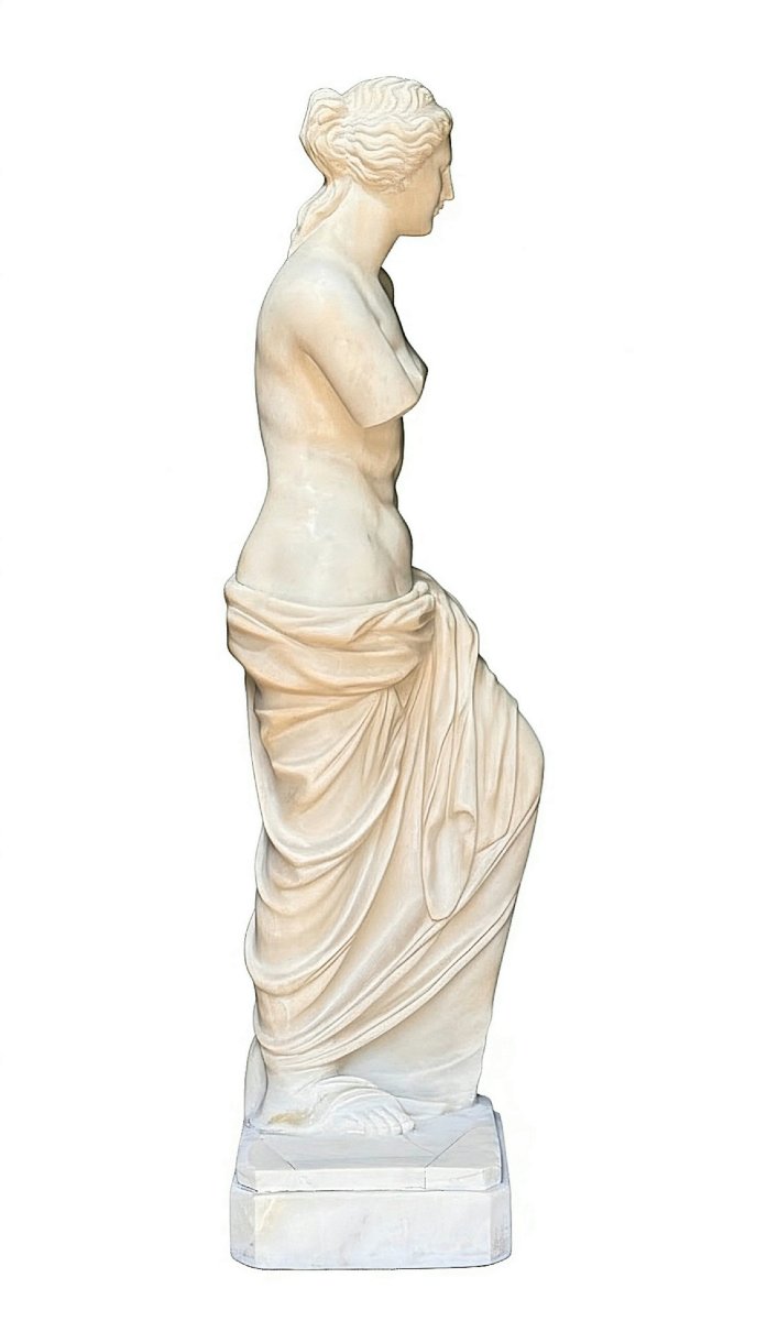 Statua raffigurante Venere di Milo in Marmo Bianco Statuario di Carrara -photo-7