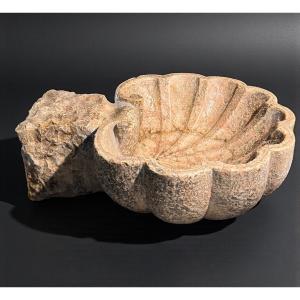 Antico Vaso a Conchiglia/Acquasantiera XVI° secolo