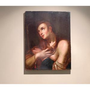 Dipinto raffigurante Maria Maddalena, olio su Tavola, XVI secolo 