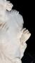 1799454-alb-6a6475a1cb859.jpg