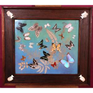 Colonial Frame In Mahogany, Palm And Ivory