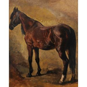 Heinrich Ludwig Christian Dietrich Winter, Brown Horse Three-quarter Back