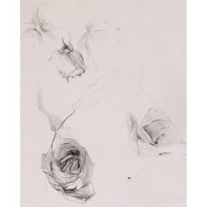 French School Of The 19th Century, Three Flower Studies