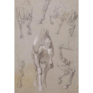 Attributed To Isidore Jules Bonheur, Anatomical Studies Of Horses