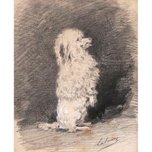 Maxime Lalanne, Poodle Showing Off, Dog Drawing